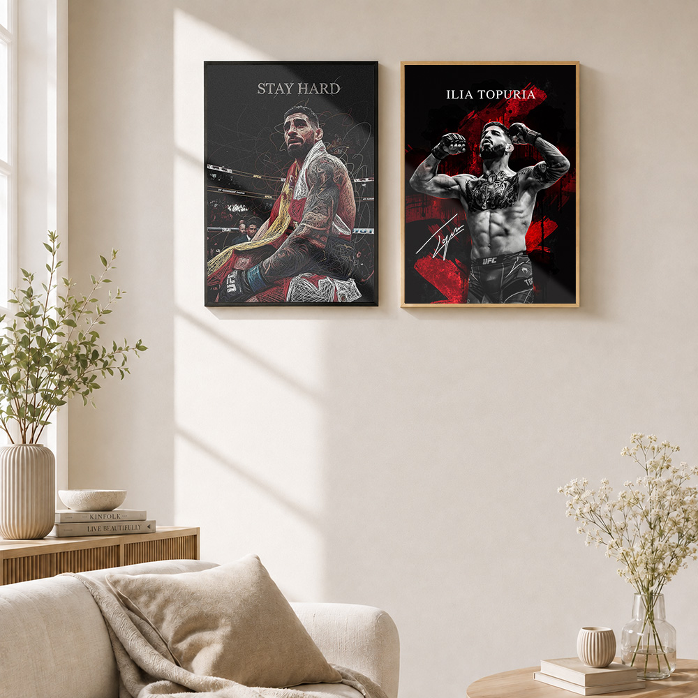 Илья Топурия: Металлический по – обзор и цена Home Gym Mma