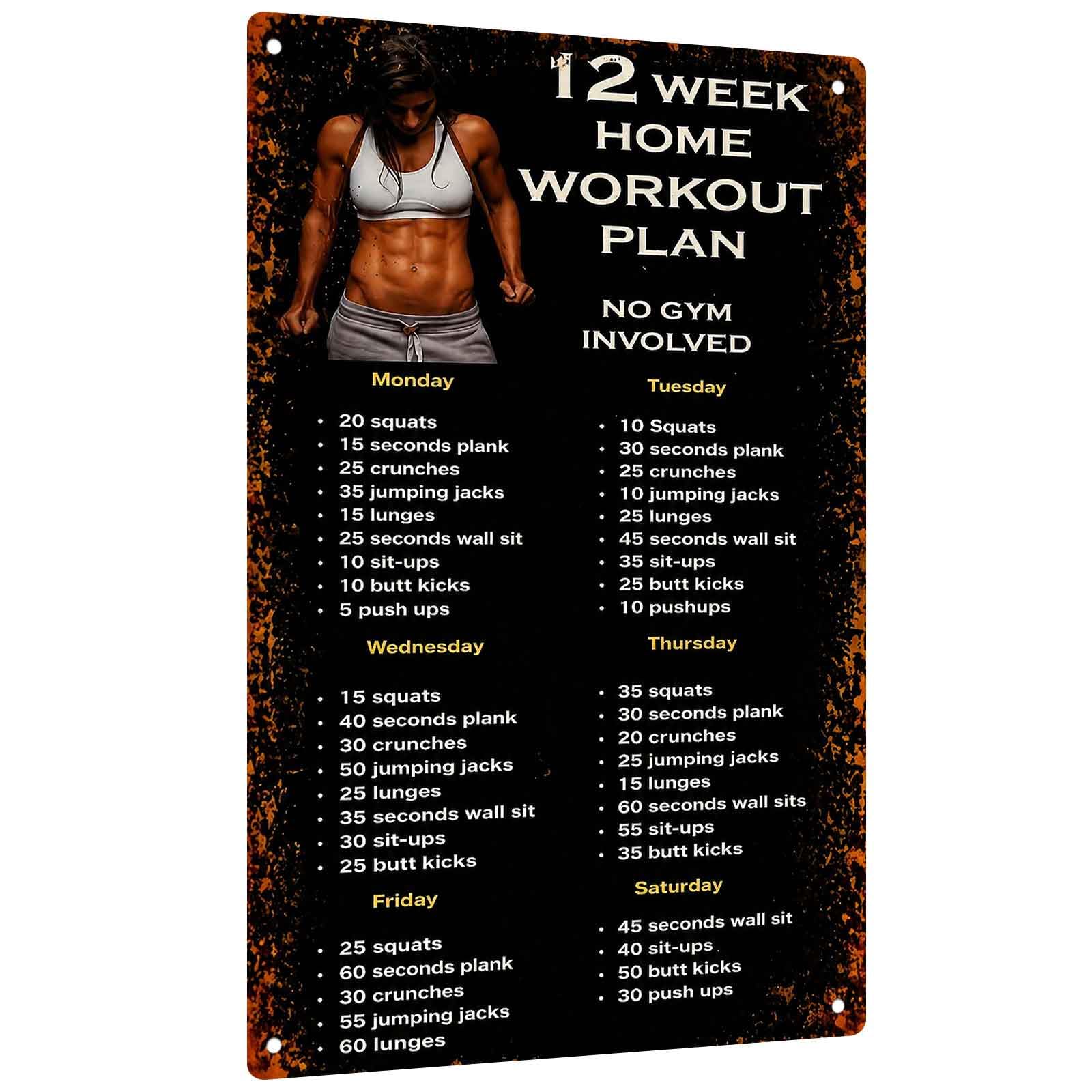 Алюминиевая табличка с 12-неде – обзор и цена Workout Plan Home Gym